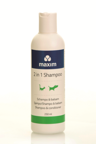Maxim 2 in 1 shampoo